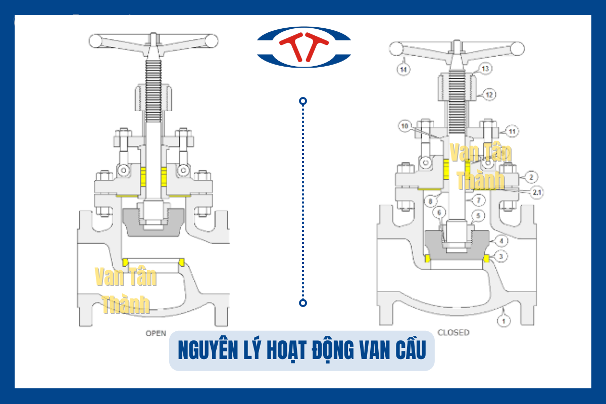 NGUYEN_LY_HOAT_DONG_VAN_CAU