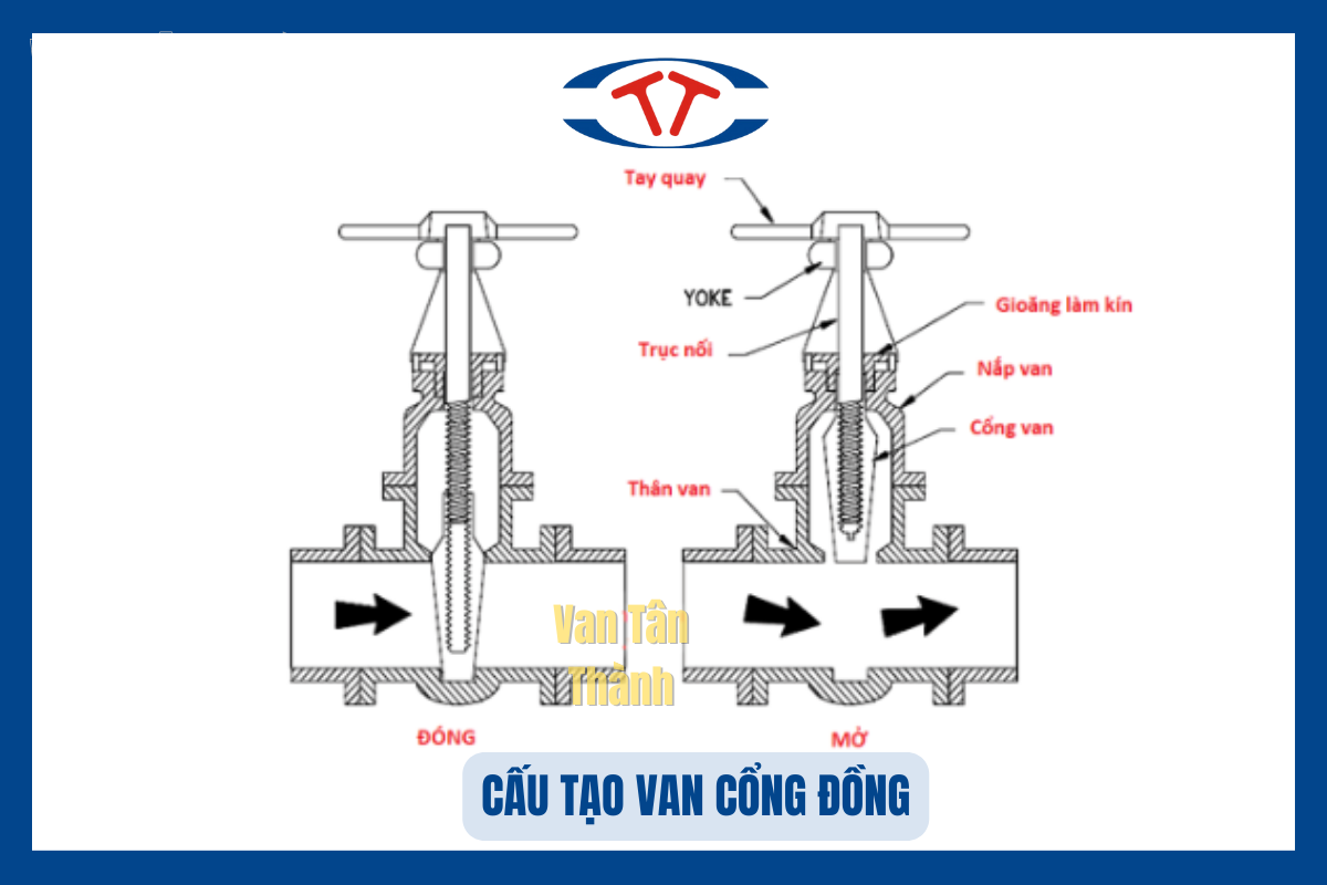 cau_tao_van_cua_dong